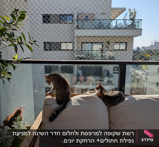 שני חתולים יושבים על ספה במרפסת עם רשת בטיחות